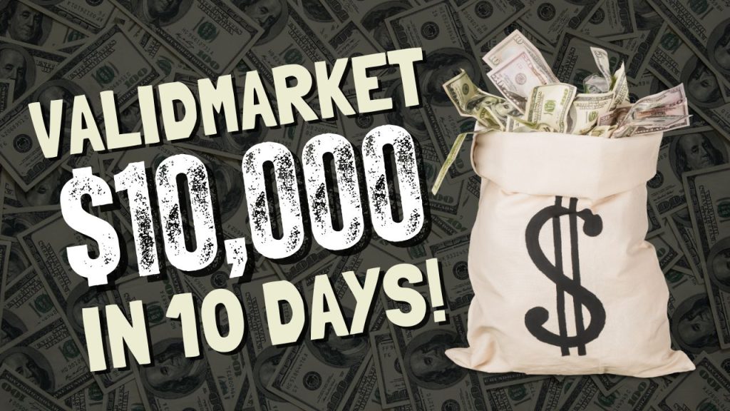 Carding and Hacking 101: Understanding the Community of ValidMarket.io