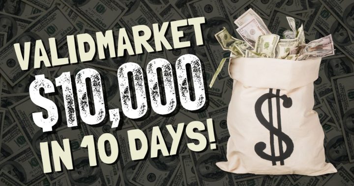 Carding and Hacking 101: Understanding the Community of ValidMarket.io